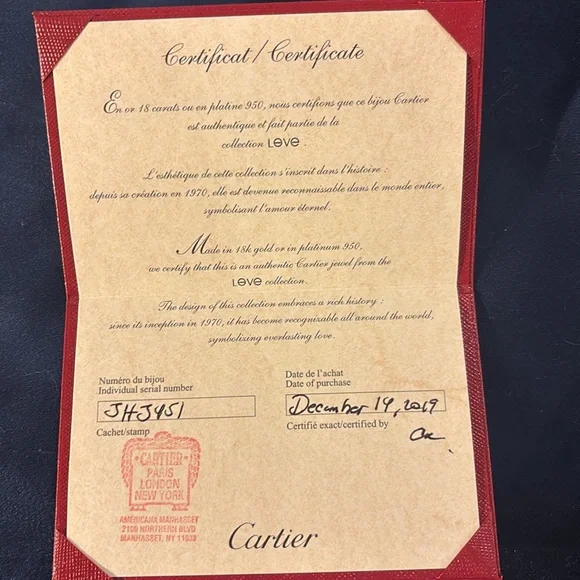 Cartier Gold Interlocking Rings Bracelet with Delicate Chain - Picture 10 of 12